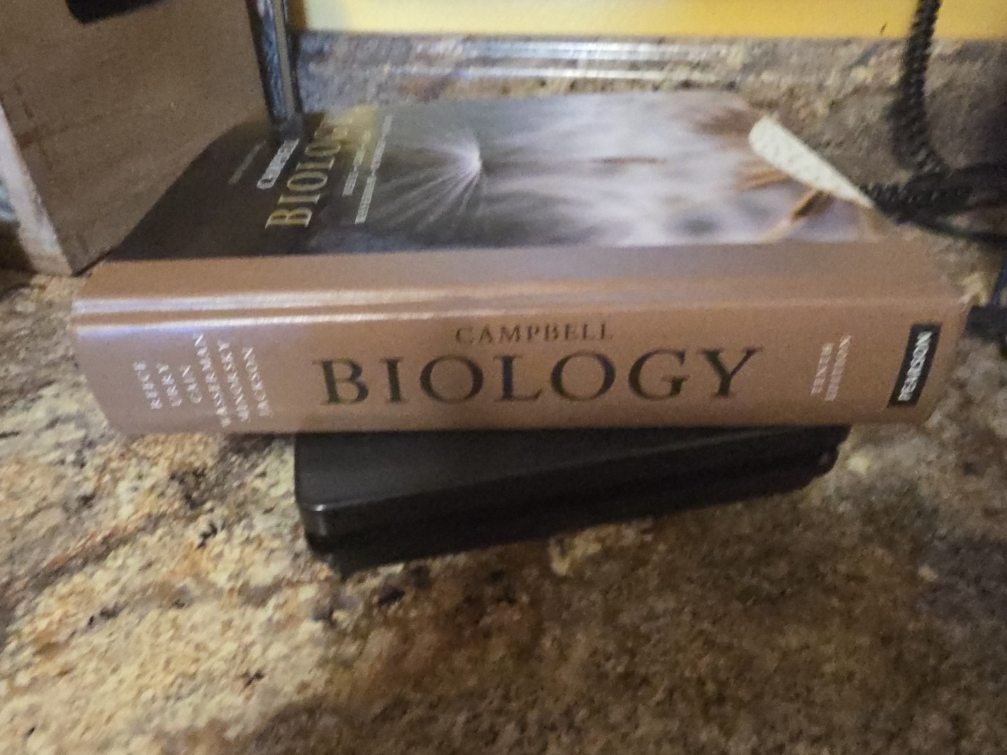 Campbell Biology by Lisa A. Urry, Peter V. Minorsky, Robert B. Jackson, Michael