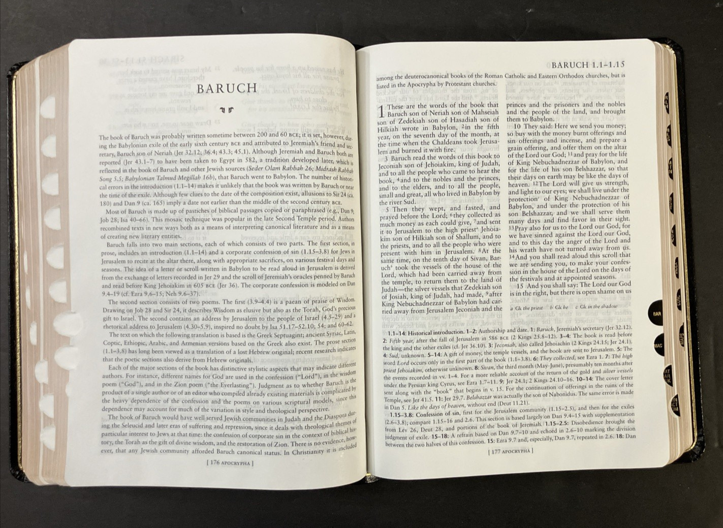 New Oxford Annotated Bible with the Apocrypha, NRSV. 3rd Edition. Leather. 9714A