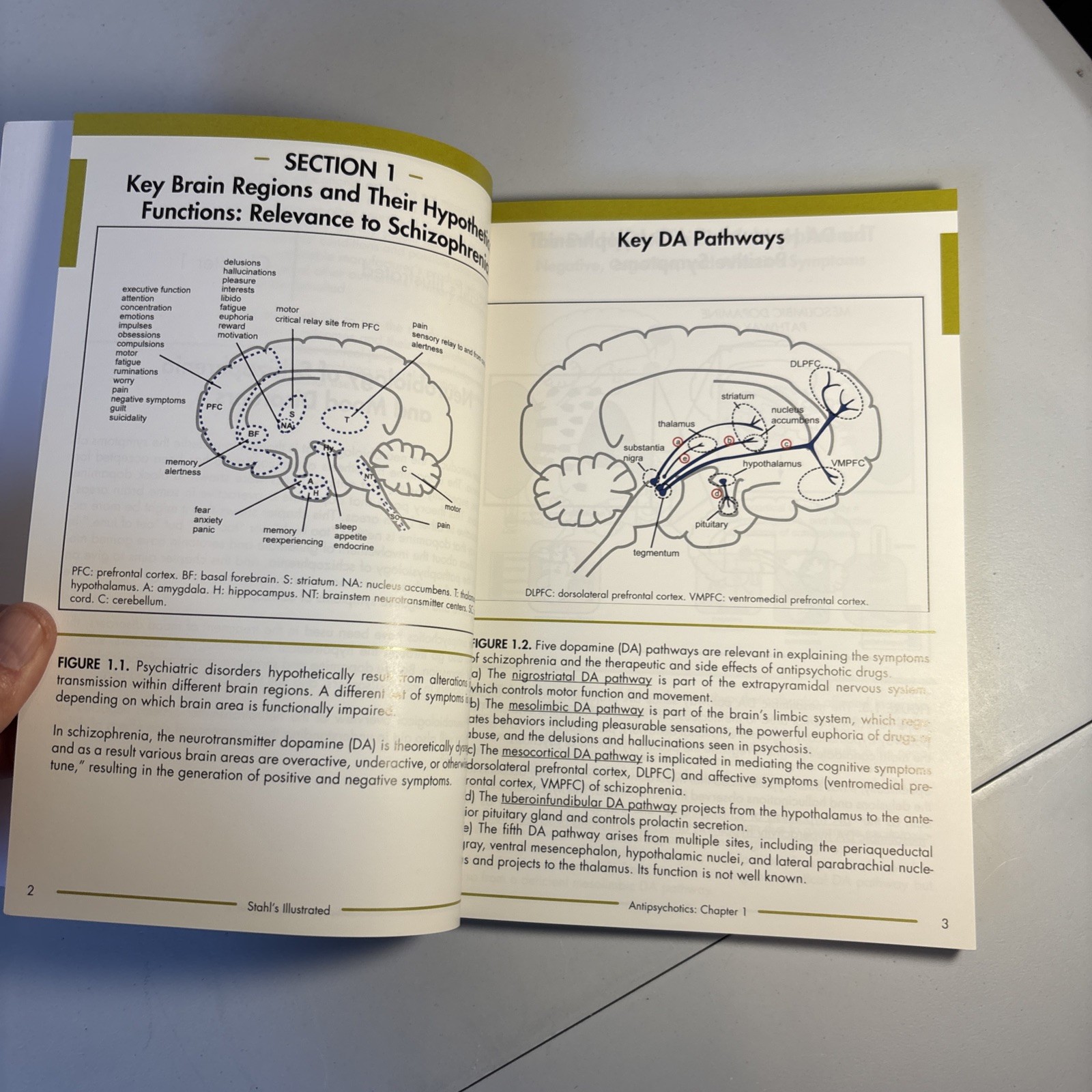 Stahl’s Illustrated Antipsychotics: Treating Psychosis, Mania and Depression, St
