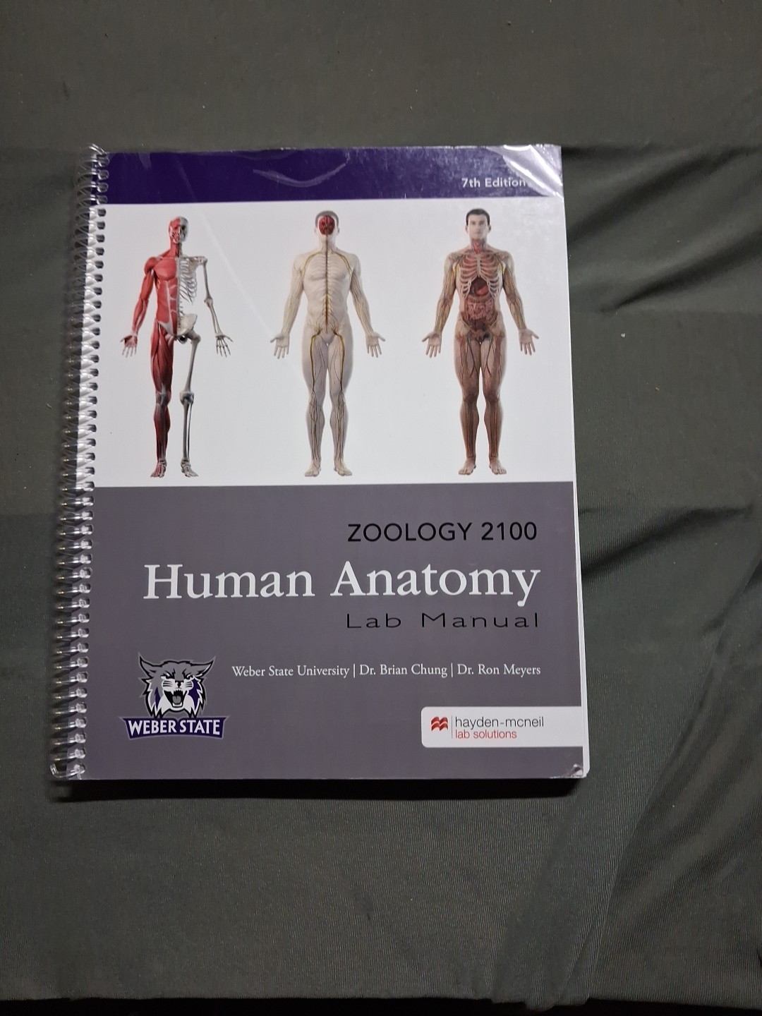 Zoology 2100 Human Anatomy Lab Manual 7th Edition Hayden-McNeil