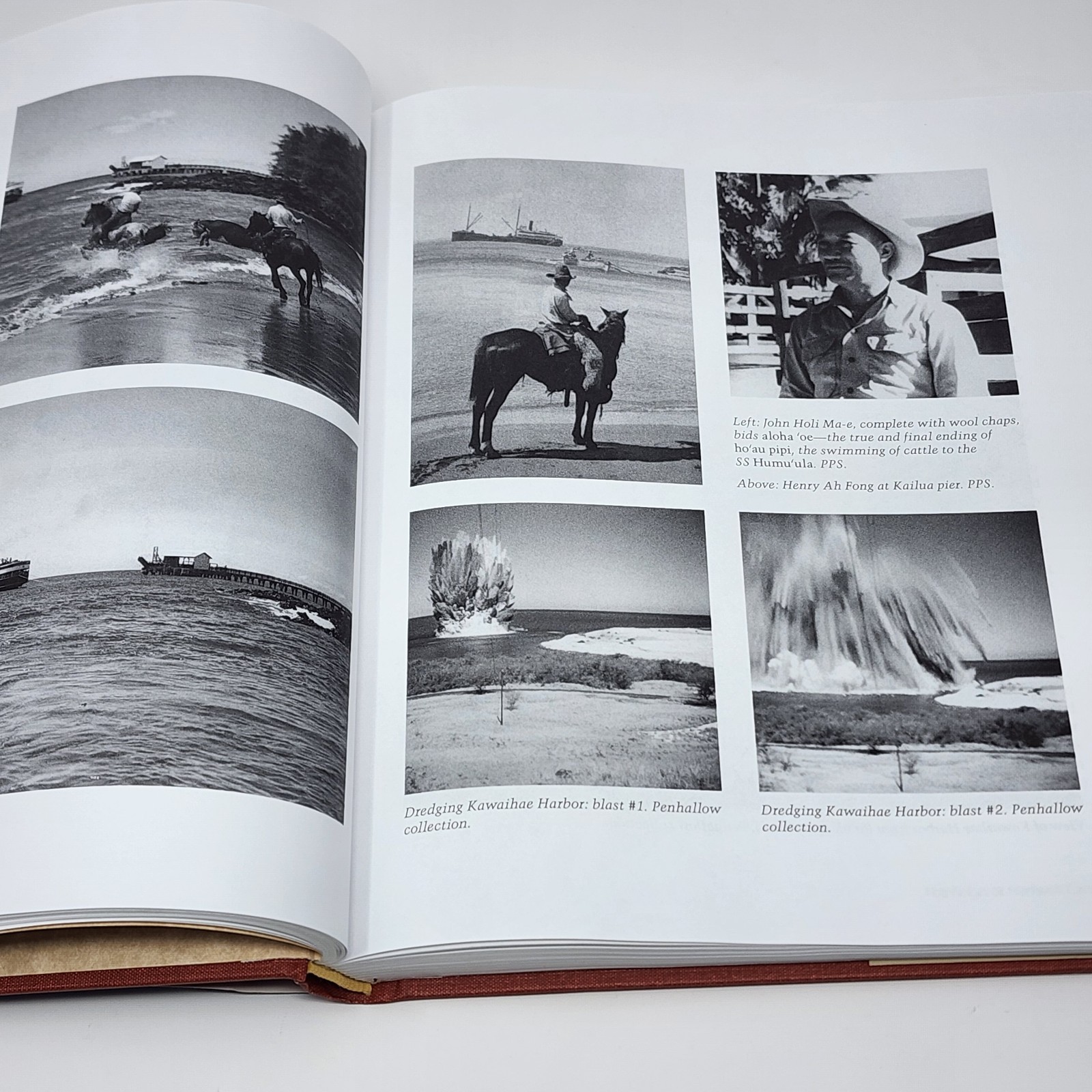Loyal to the Land The Legendary Parker Ranch 1950-1970 Volume 2 Senior Stewards