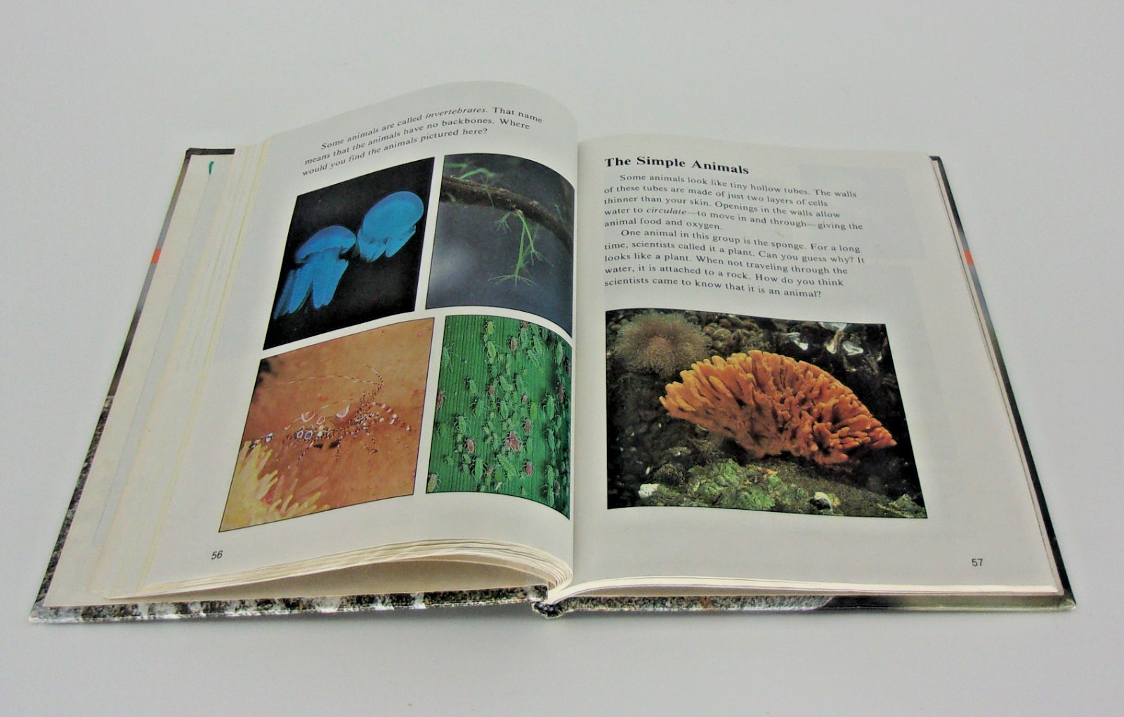 Science 3 for Christian Schools Textbook Second Edition-Bob Jones University