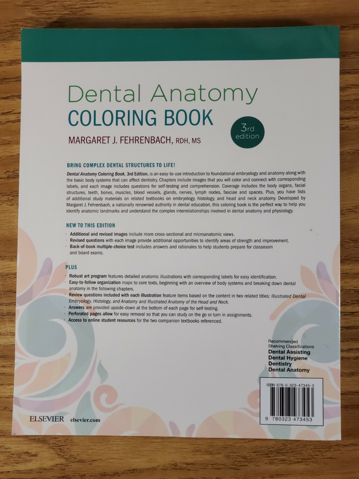 Dental Anatomy Coloring Book (2018, Trade Paperback) 3rd Edition