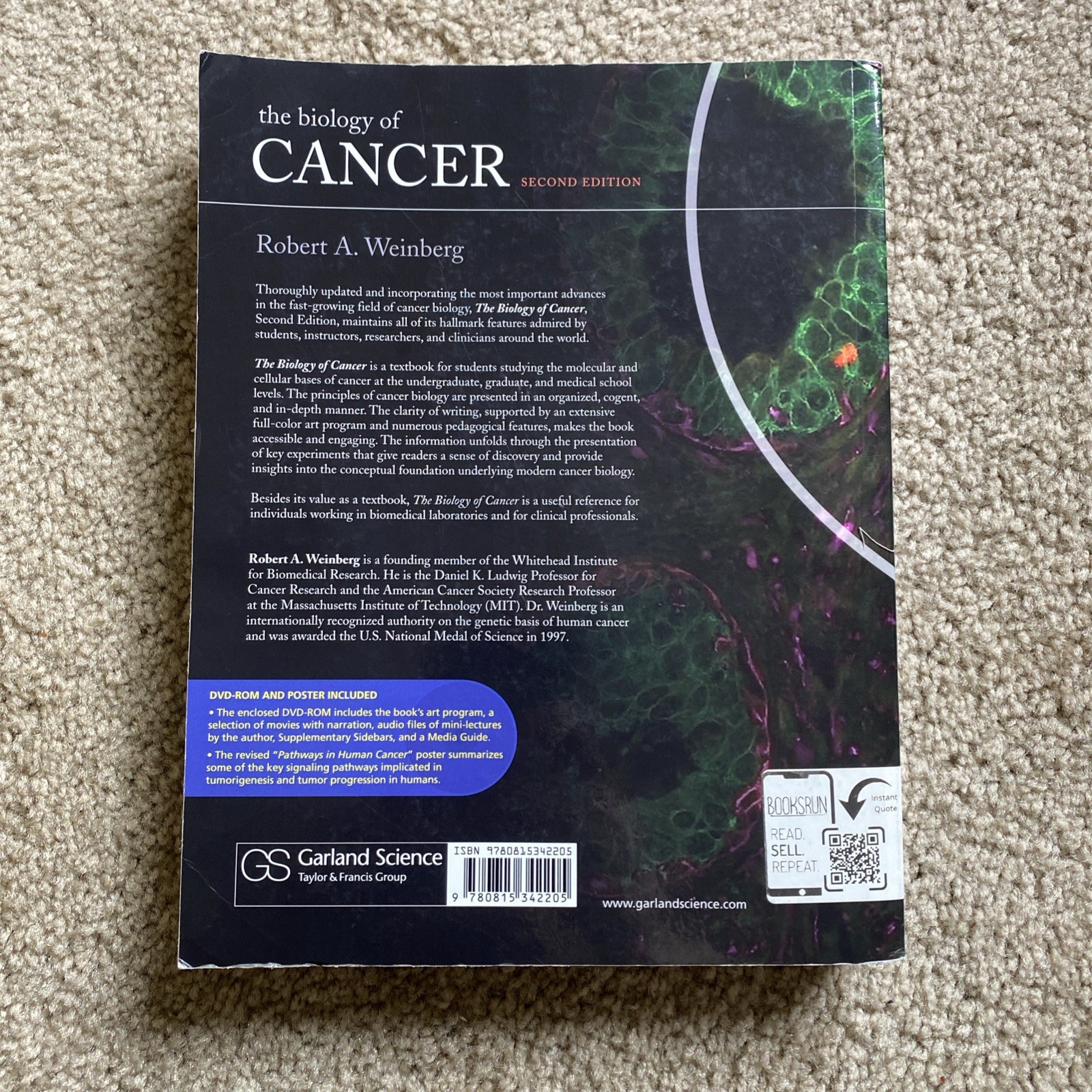 Biology of Cancer by Robert A. Weinberg (2013, Uk-B Format Paperback)