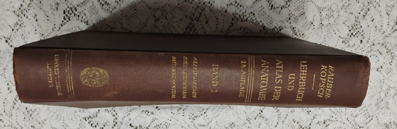 Atlas Of Human Anatomy 1952 Vol 1 In German Skeletal, Muscular General systems