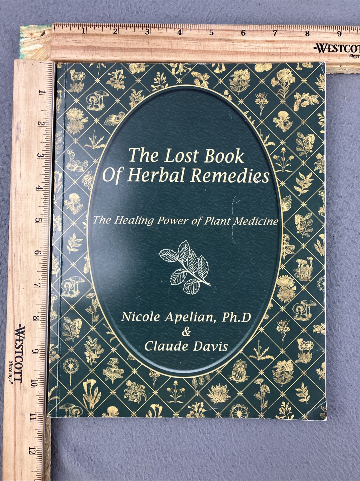 The Lost Book of Herbal Remedies (paperback with color pictures) Herbs Recipes
