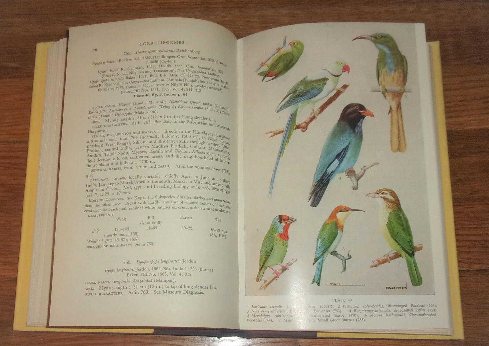 HANDBOOK OF THE BIRDS OF INDIA & PAKISTAN, 2nd Edition, Vol. 4-SUPERB Rare HC DJ
