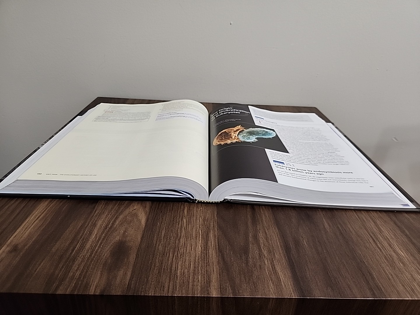 Campbell Biology in Focus by Peter V. Minorsky, Michael L. Cain, Lisa A….