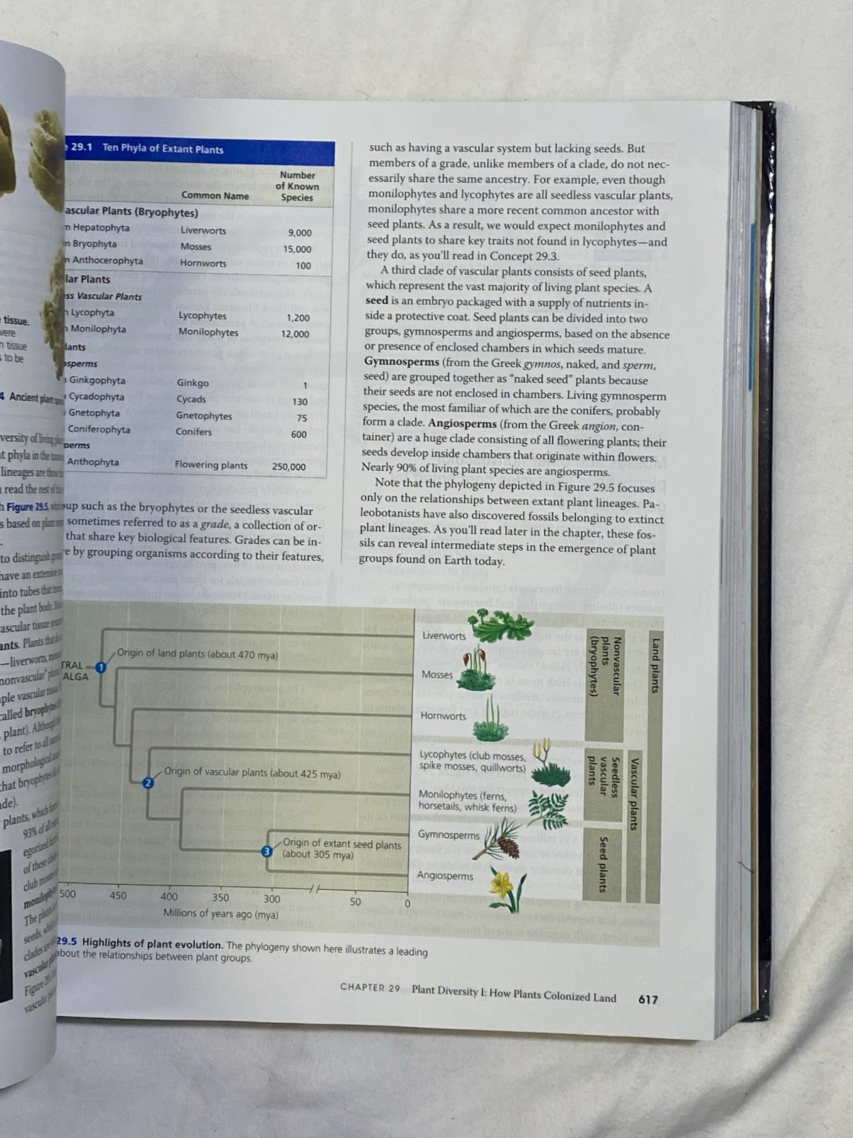Campbell Biology by Peter V. Minorsky, Robert B. Jackson, Michael L. Cain, Lisa