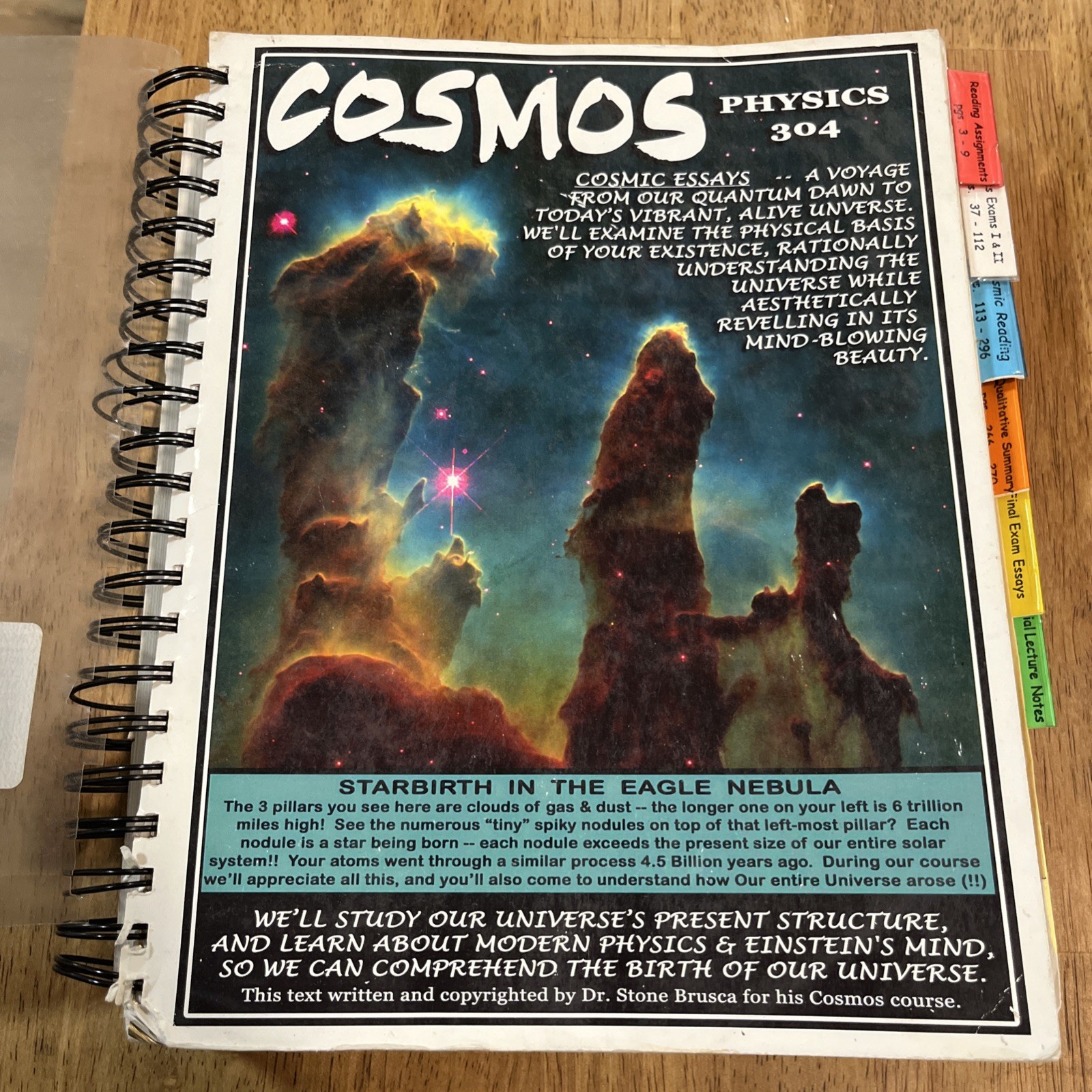 Cosmos Physics 304 Dr. Stone Brusca Textbook VERY RARE Cosmic Essays 518 Pages￼