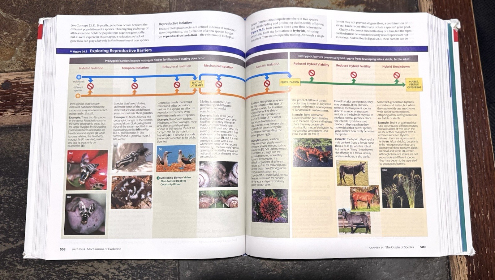 Campbell Biology Twelfth 12th Edition Pearson Hardcover Rental Edition