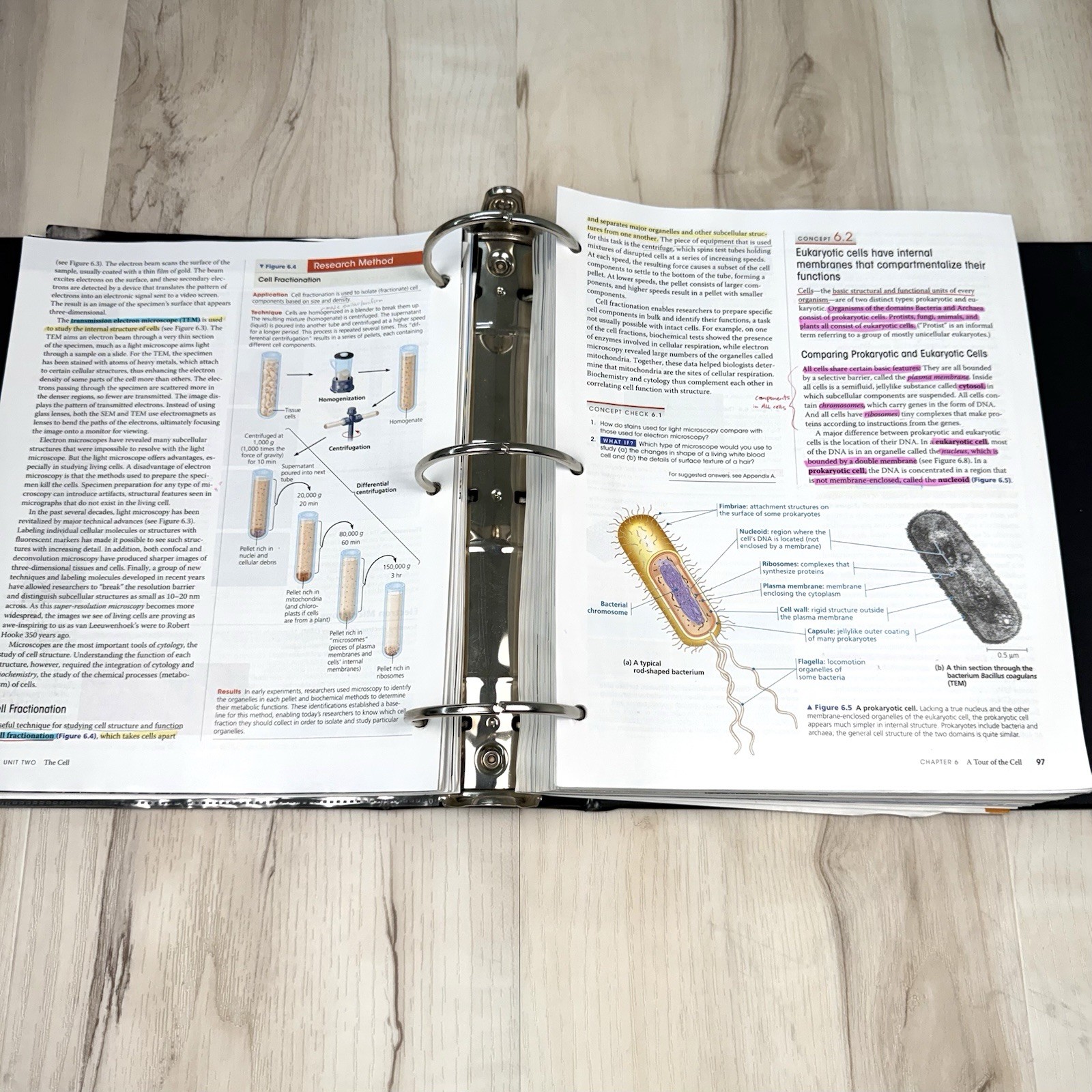 Campbell Biology a la Carte 10th Edition Peter Minorsky 2014 Ringbound/Looseleaf