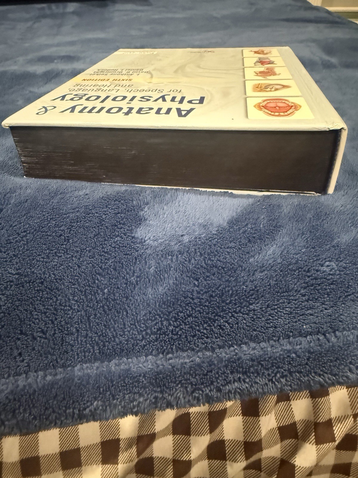 Anatomy & Physiology for Speech, Language, and Hearing (2019, Hardcover)