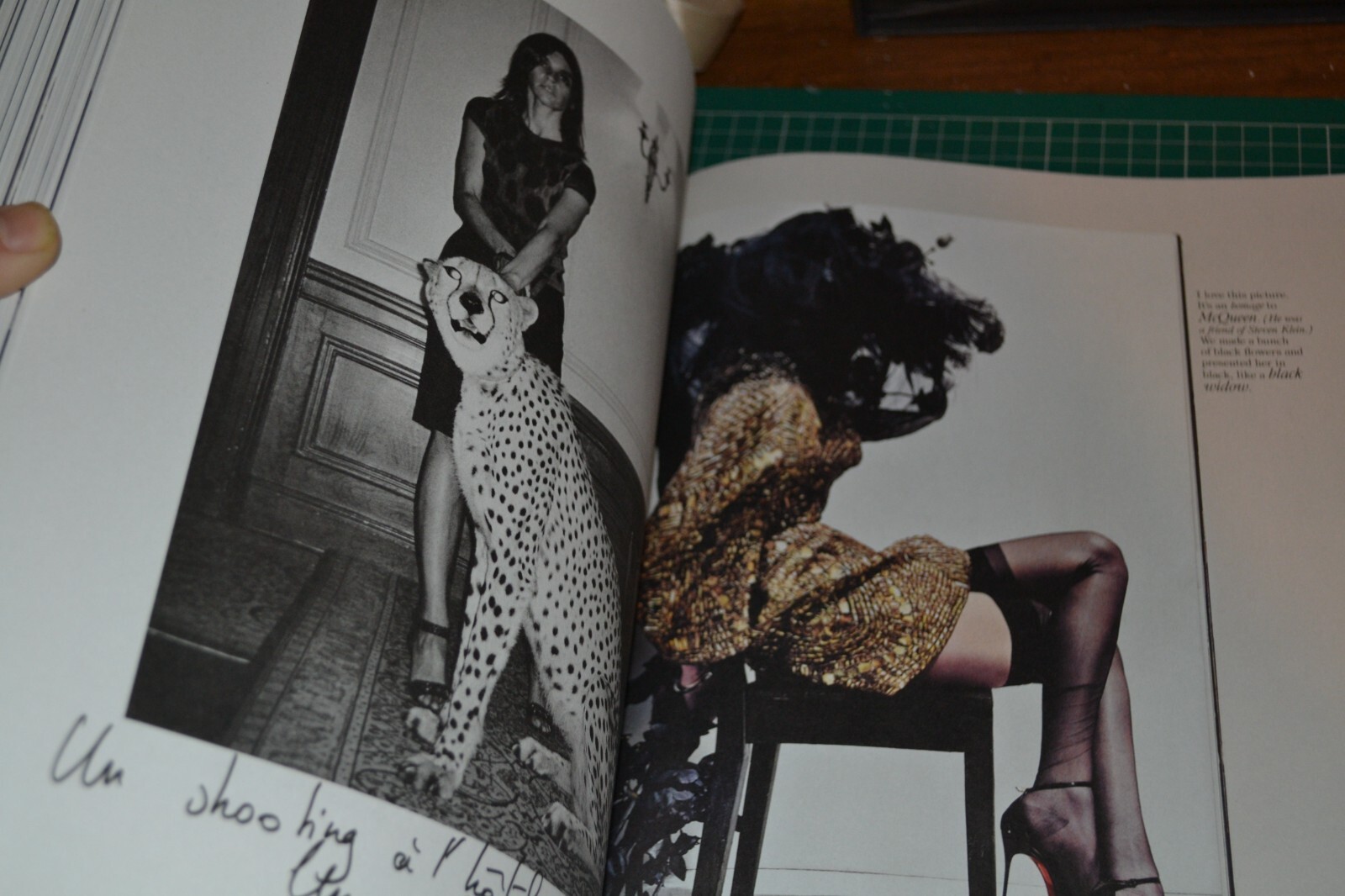 Carine Roitfeld Irreverent Fashion PHOTOGRAPHY ART BOOK VOGUE SLIPCASE RIZZOLI