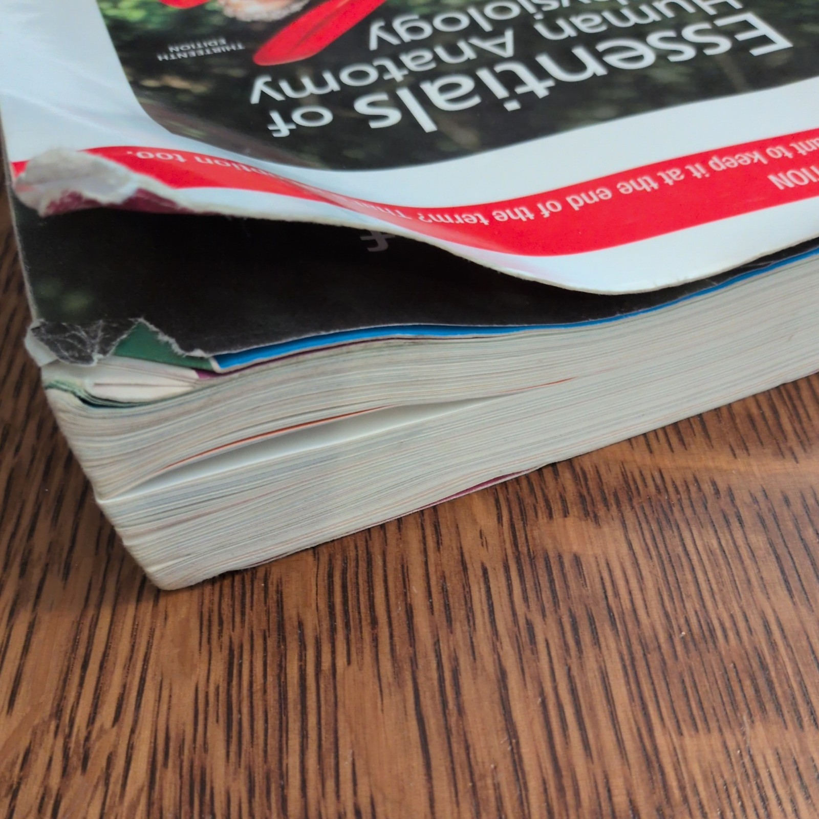 Essentials of Human Anatomy and – Paperback, by Suzanne Keller Acceptable 13 ed