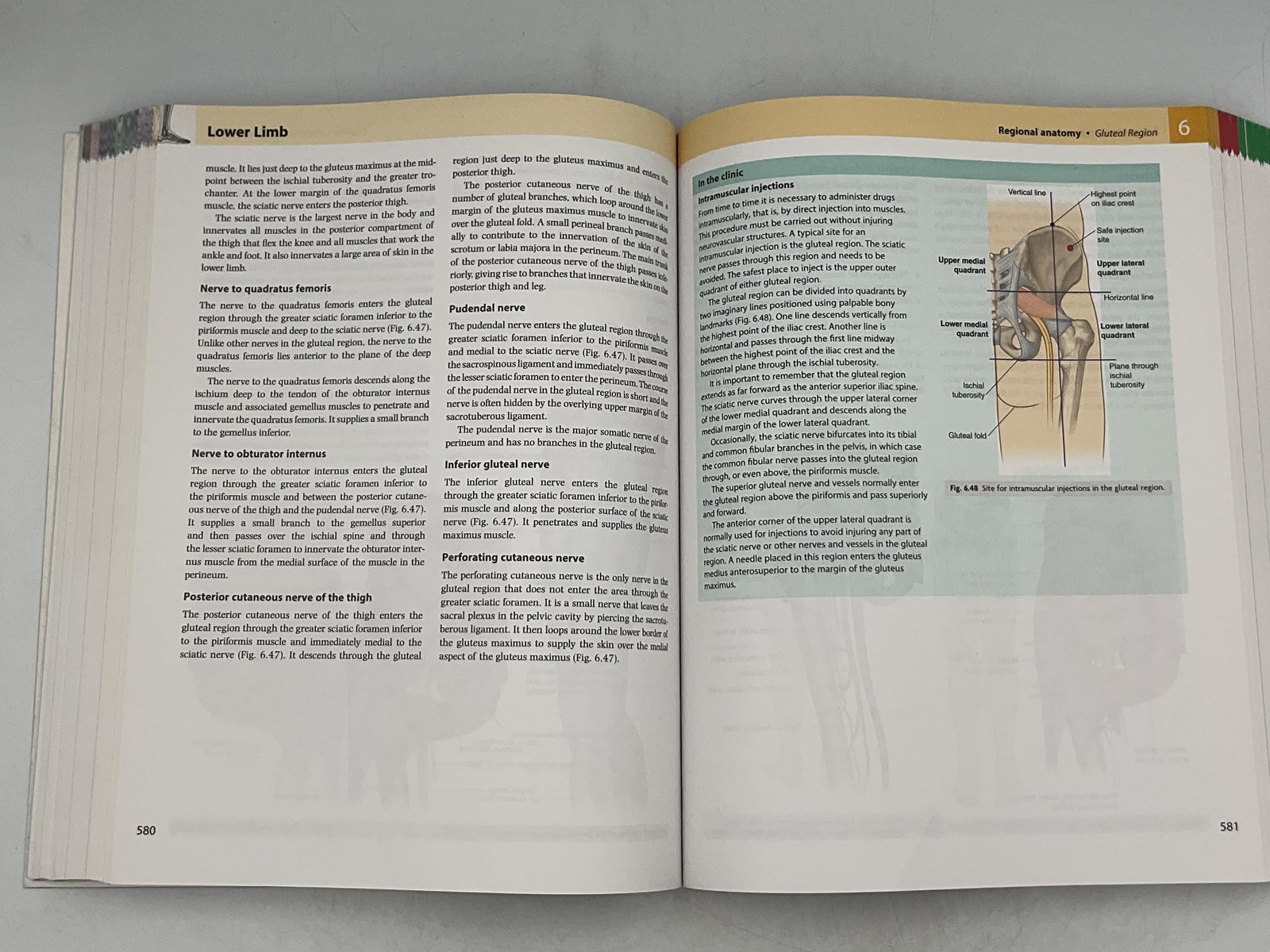 Gray’s Anatomy For Students 3rd Ed Drake Vogl Mitchell Elsevier ACCESS CODE
