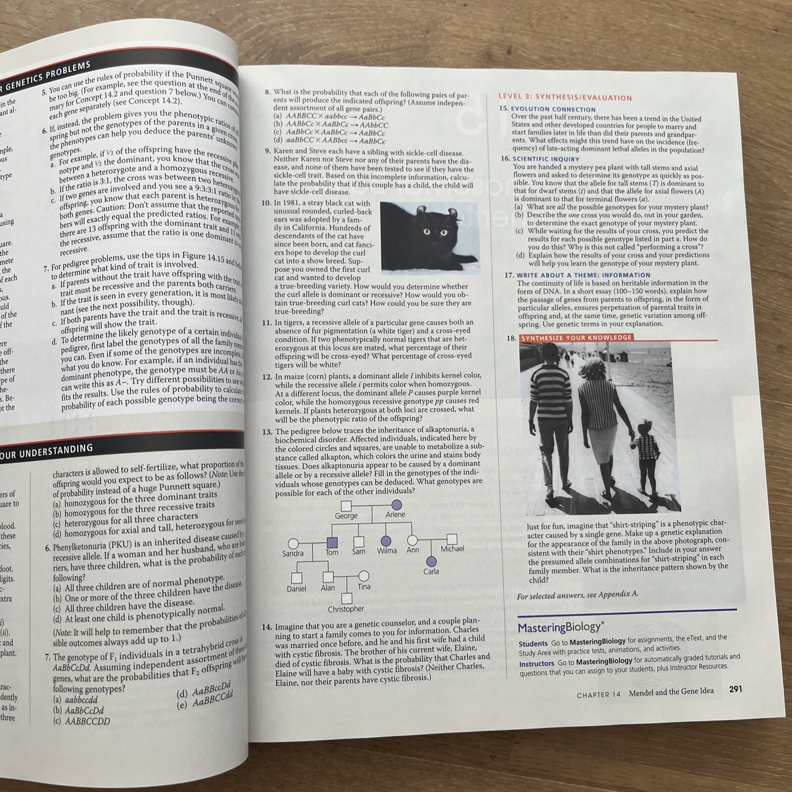 Campbell Biology by Peter V. Minorsky, Robert B. Jackson, Michael L. Cain, Lisa