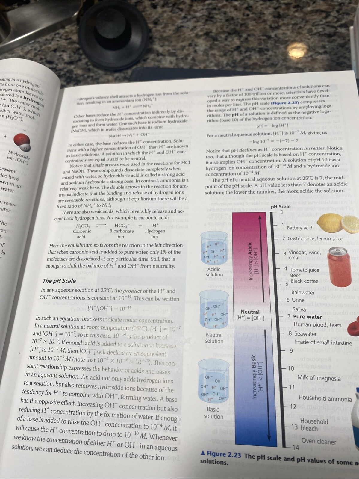 Campbell Biology in Focus by Peter V. Minorsky, Robert B. Jackson, Jane B….