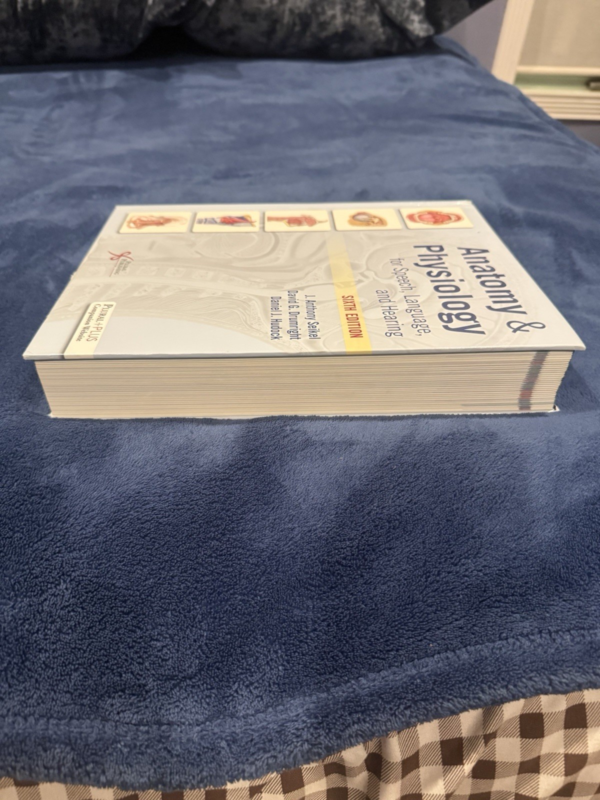Anatomy & Physiology for Speech, Language, and Hearing (2019, Hardcover)