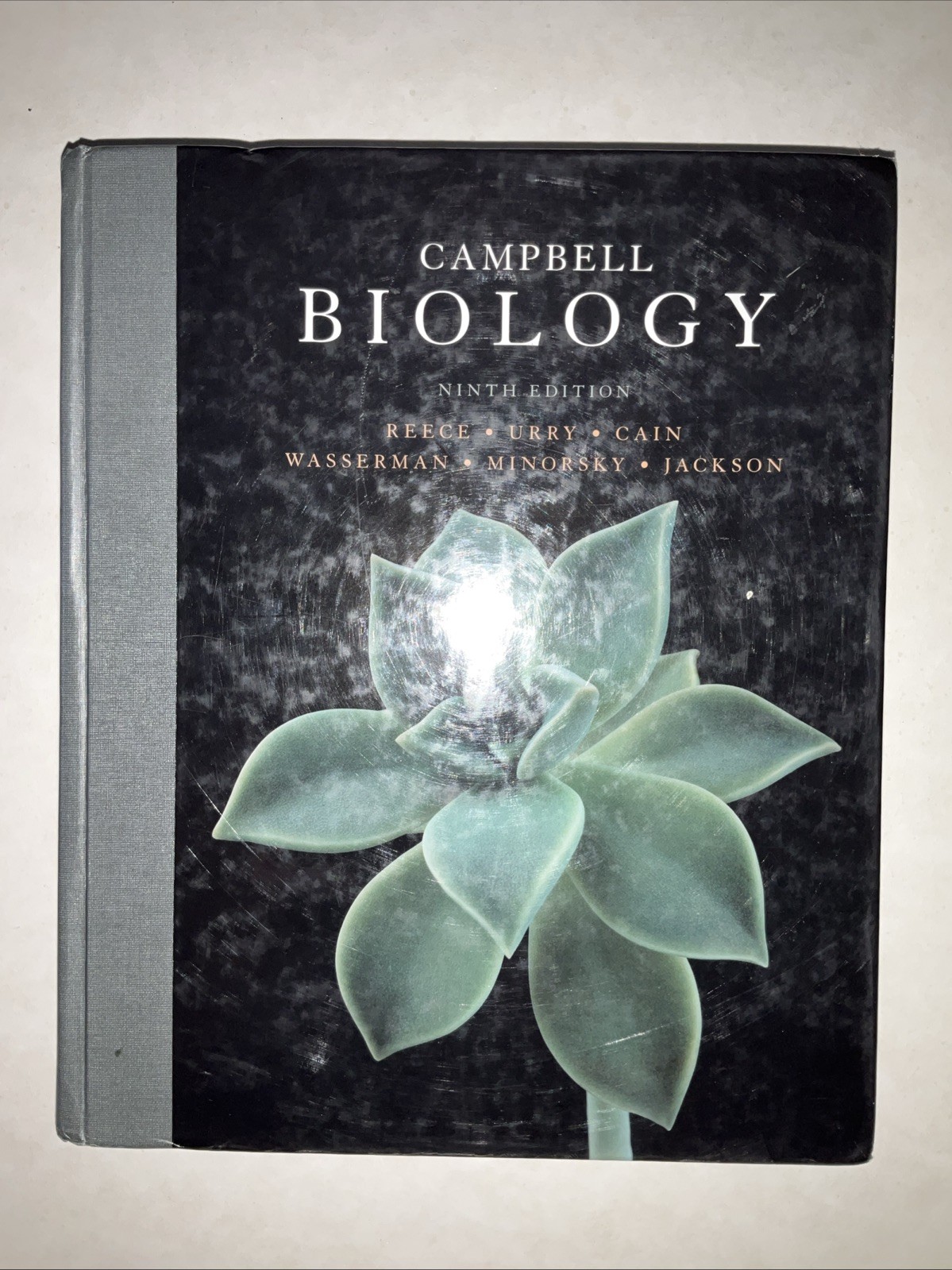 Campbell Biology by Peter V. Minorsky, Robert B. Jackson, Michael L. Cain, Lisa