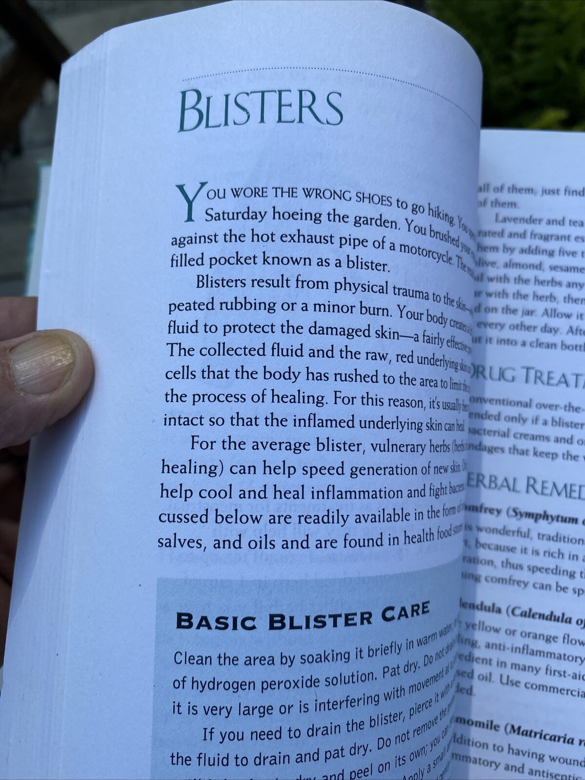 The Herbal Drugstore: The Best Natural Alternatives to Over-the-Counter and …