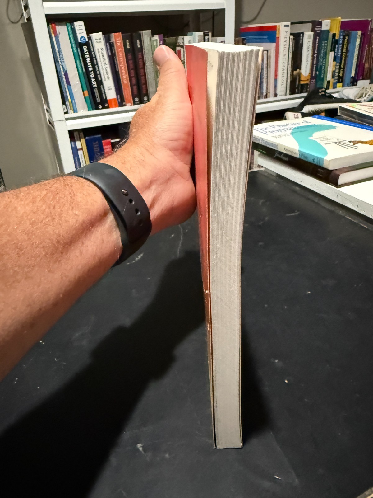 The Seasoned Schemer, second edition (Mit Press) – Like New Condition