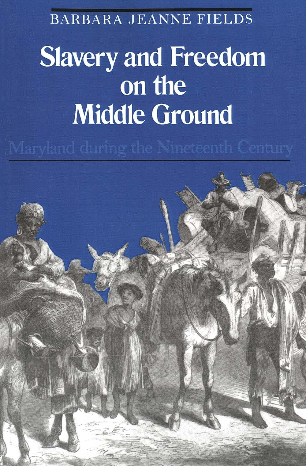 Slavery and Freedom on the Middle Ground: Maryland During the Nineteenth Cen…