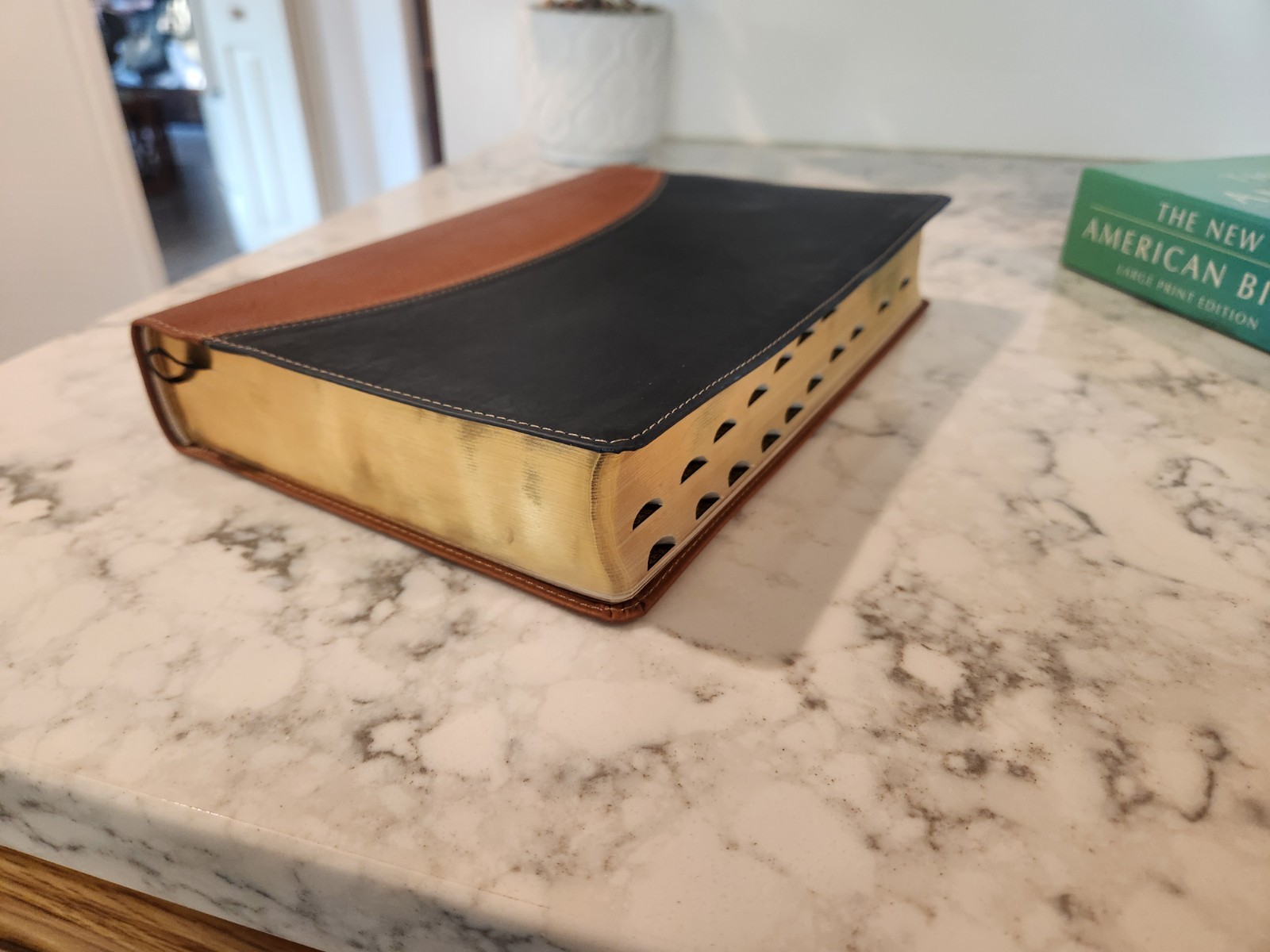 The New American Bible Large Print Edition Oxford University Press 12 Point Type