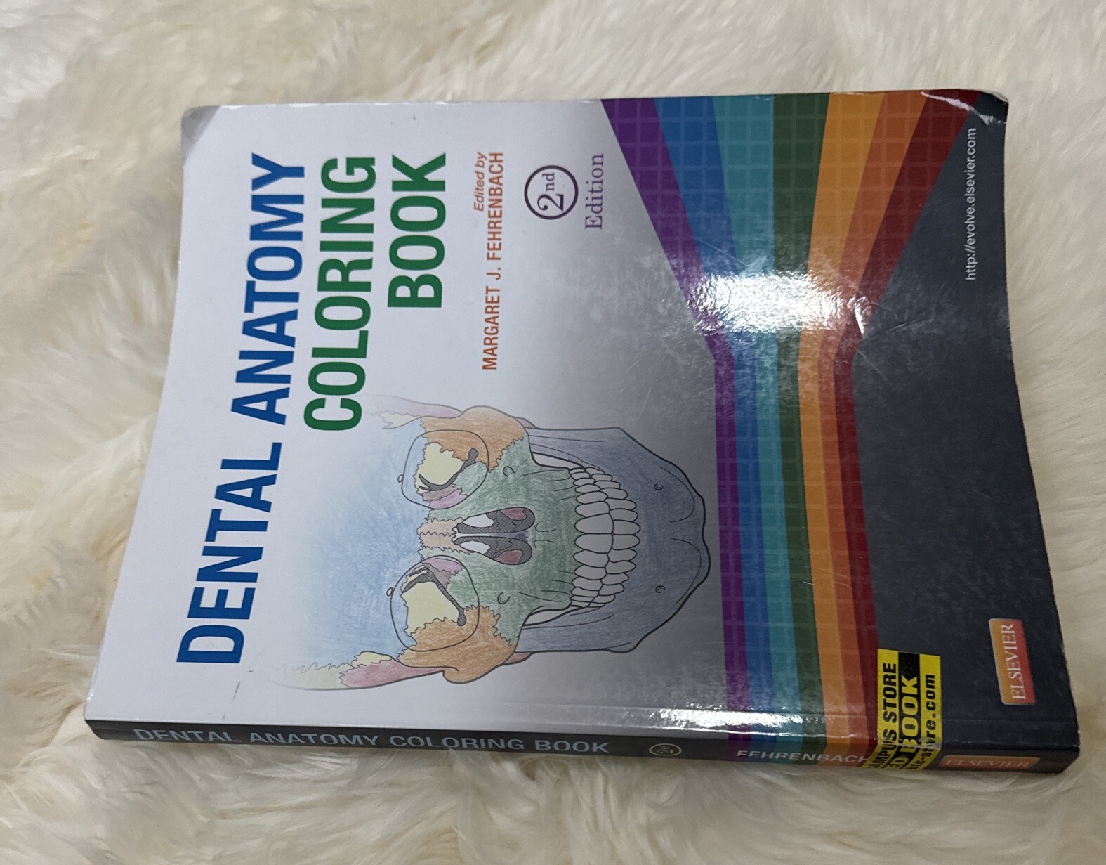 Dental Anatomy Coloring Book 2nd Edition 978-1-4557-4589-0+US SELLER+FREE SHIP
