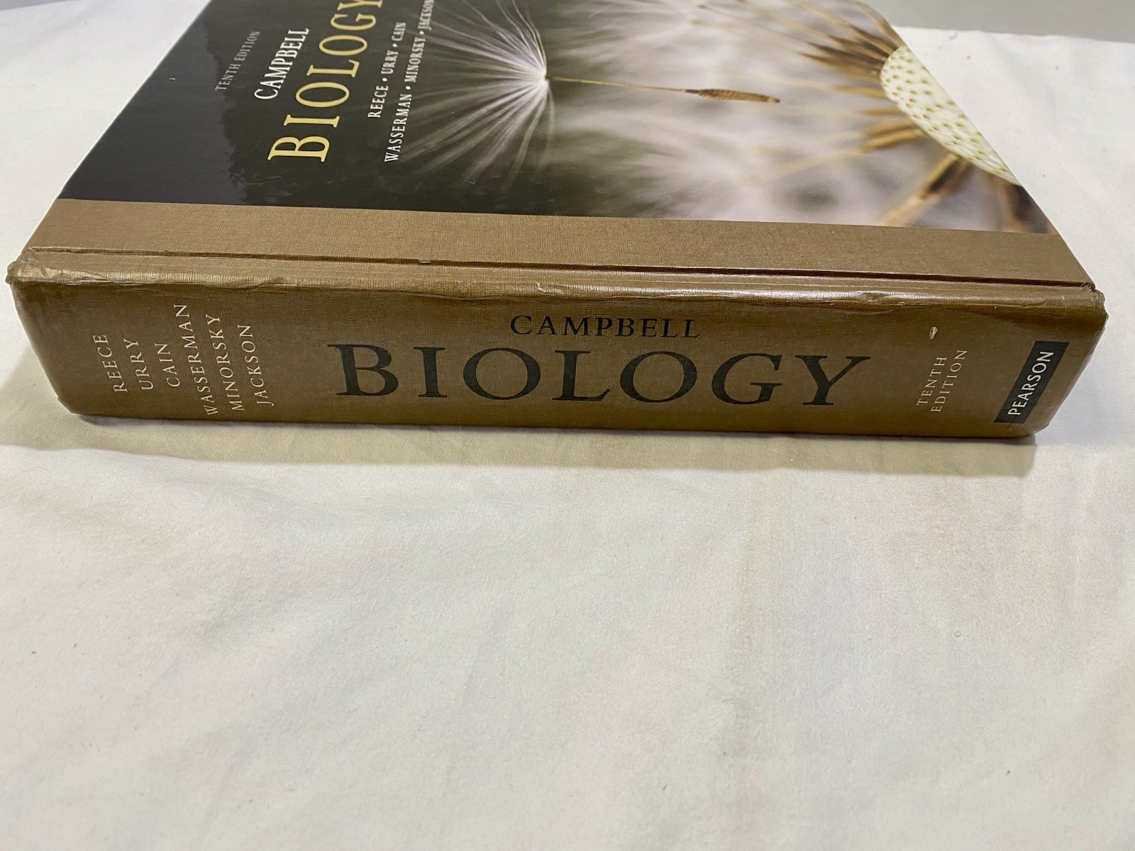 Campbell Biology by Peter V. Minorsky, Robert B. Jackson, Michael L. Cain, Lisa