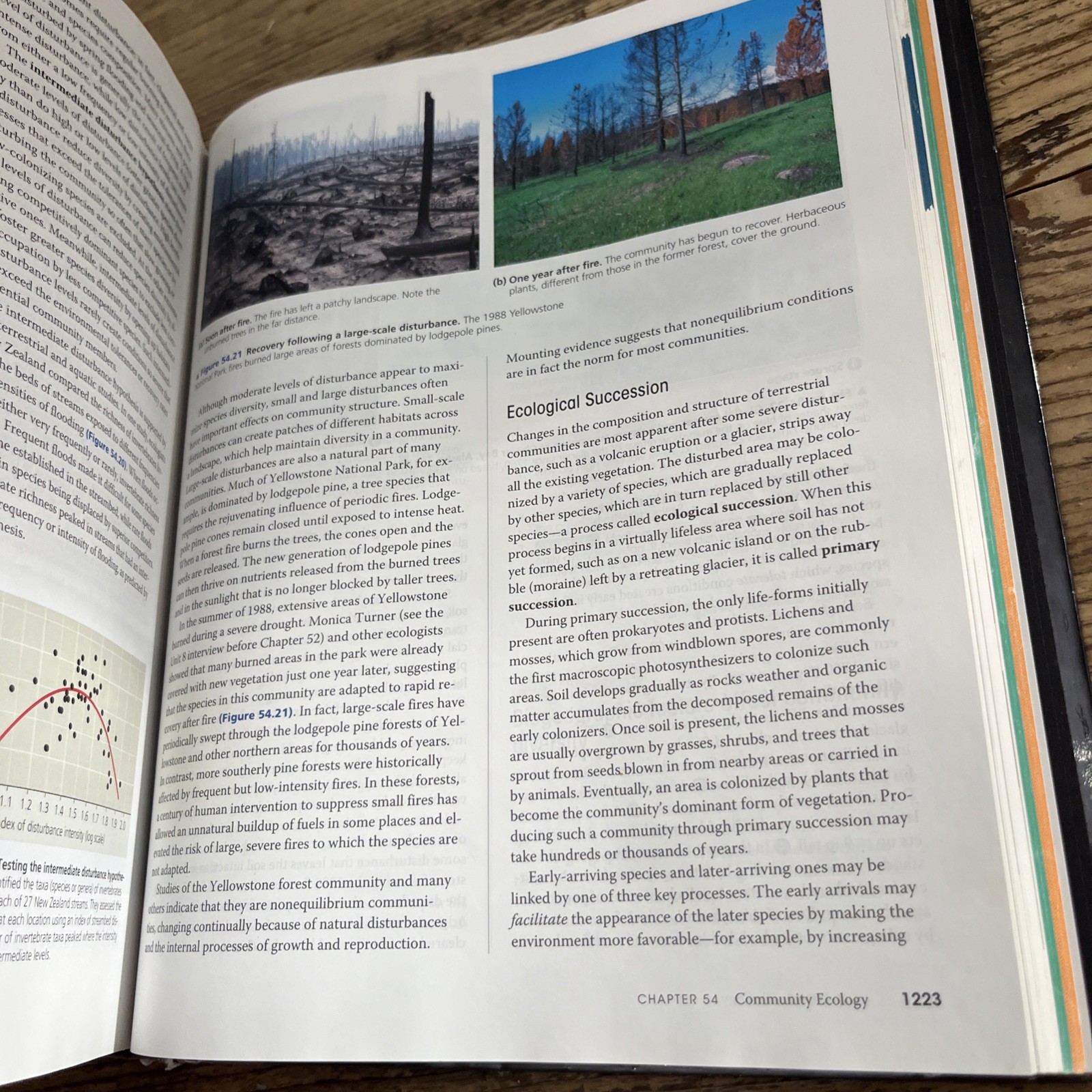Campbell Biology by Peter V. Minorsky, Robert B. Jackson, Michael L. Cain, Lisa