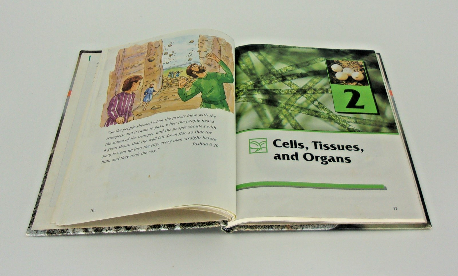 Science 3 for Christian Schools Textbook Second Edition-Bob Jones University