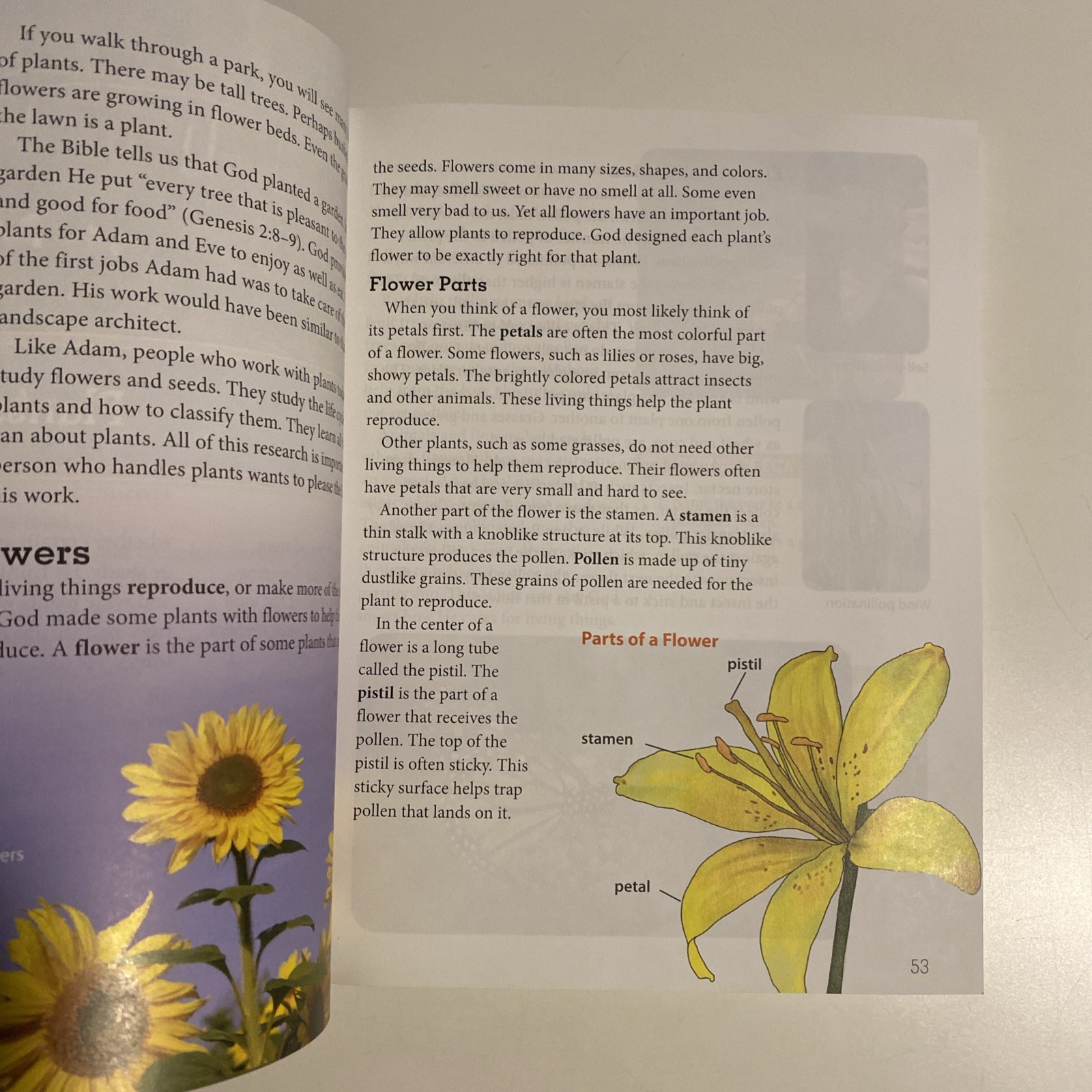 BJU Press Science 4 Student Text 4th Edition Grade 4 Homeschool