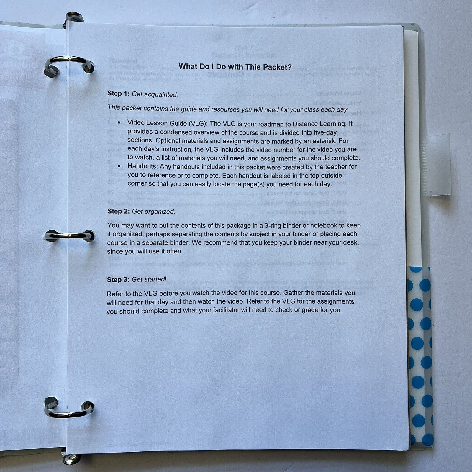 BJU Press Bible Truths 1 A Fathers Care Student Handouts Homeschool Curriculum