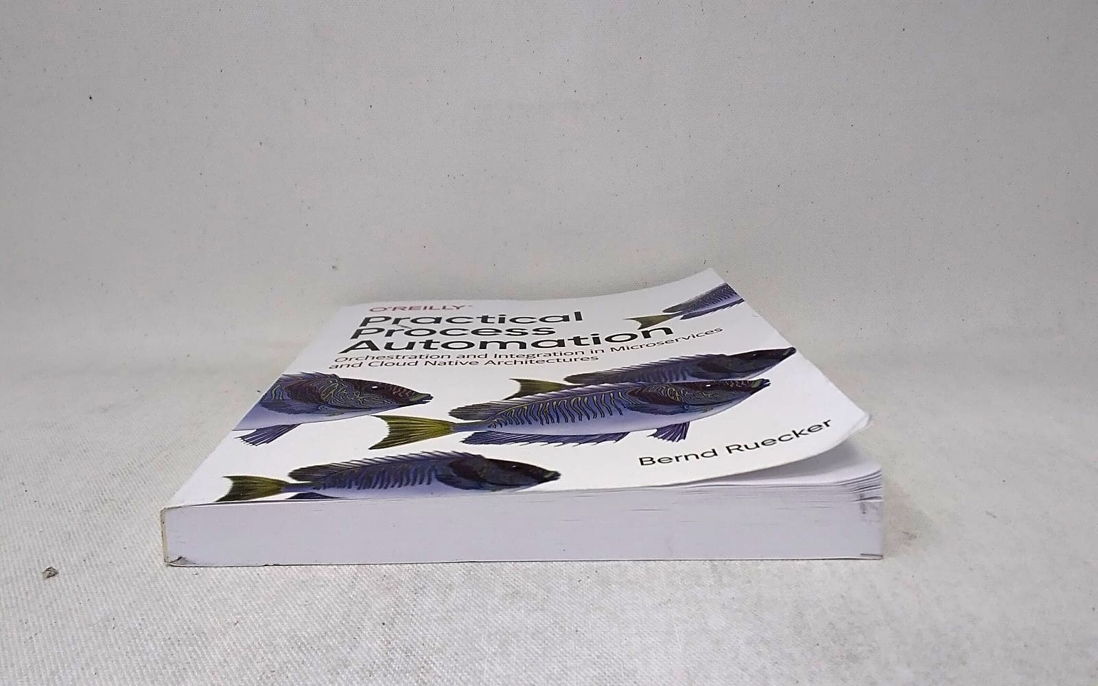 O’Reilly Media Practical Process Automation 9781492061458 Bernd Ruecker