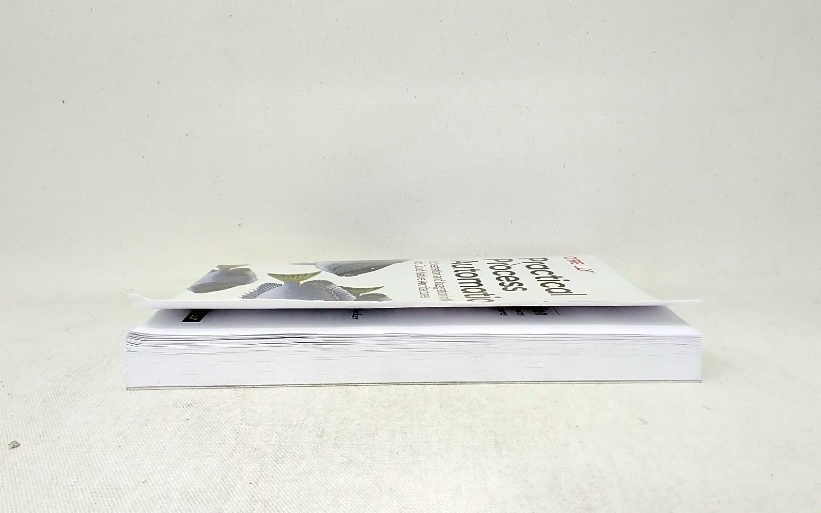 O’Reilly Media Practical Process Automation 9781492061458 Bernd Ruecker