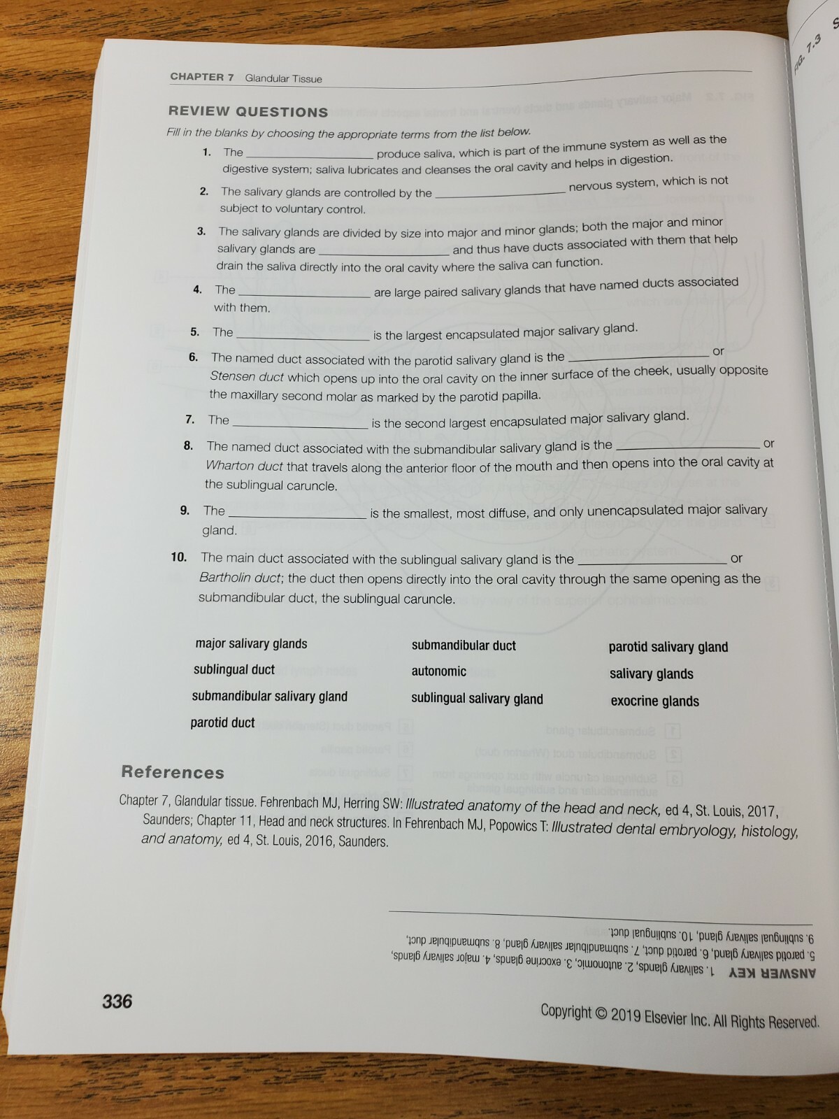 Dental Anatomy Coloring Book (2018, Trade Paperback) 3rd Edition