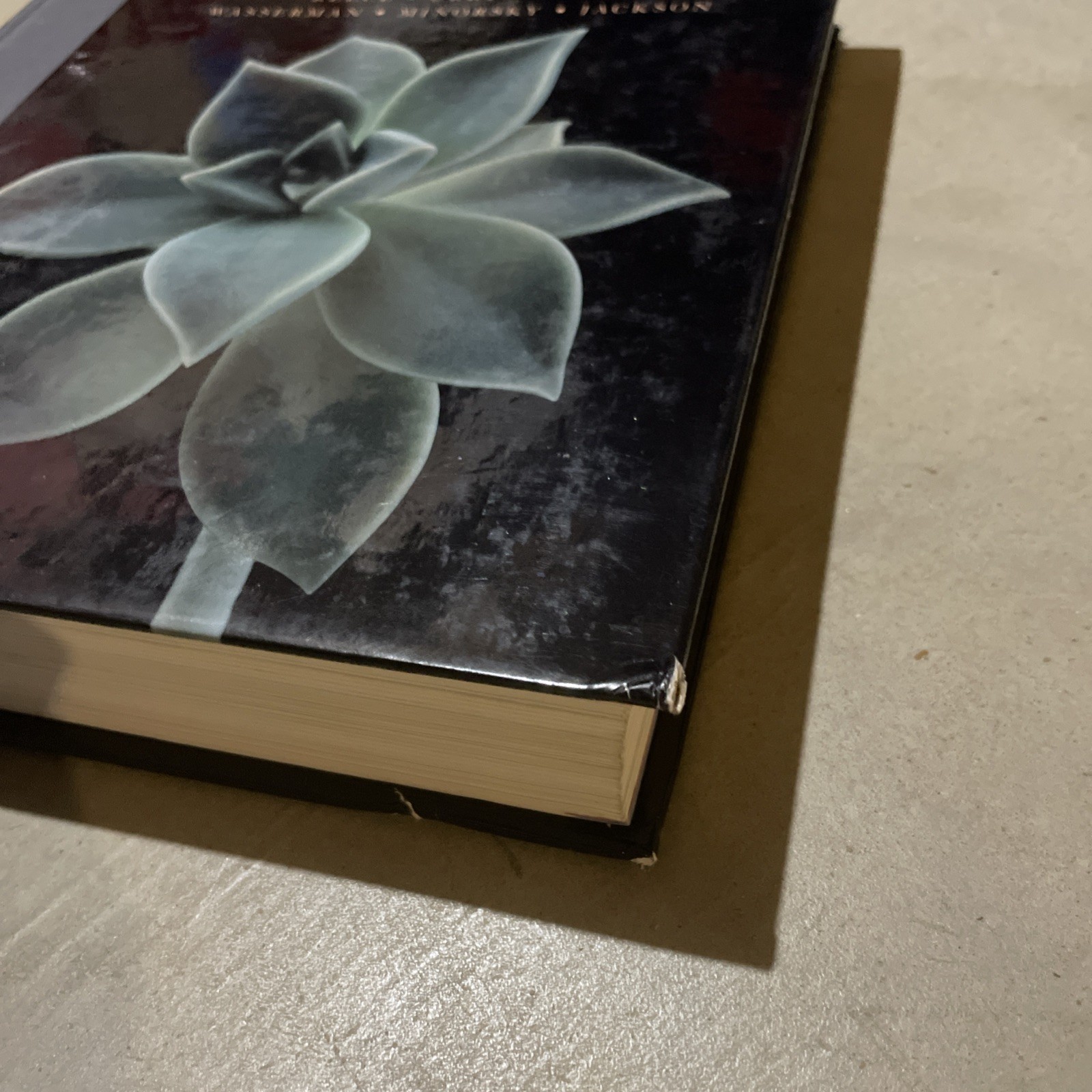 Campbell Biology by Peter V. Minorsky, Neil A. Campbell (2010, Hardcover)