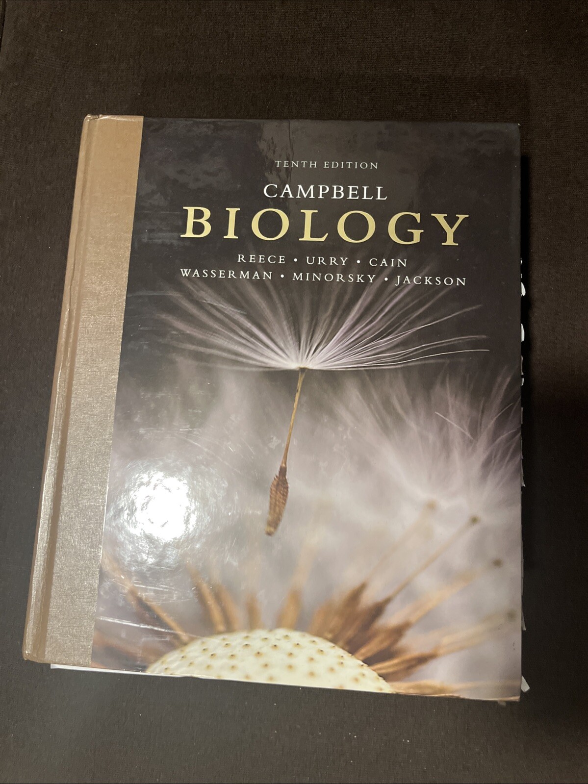 Campbell Biology by Peter V. Minorsky, Robert B. Jackson, Michael L. Cain, Lisa