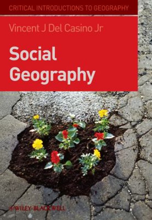 Social Geography : A Critical Introduction Paperback Vincent J.,