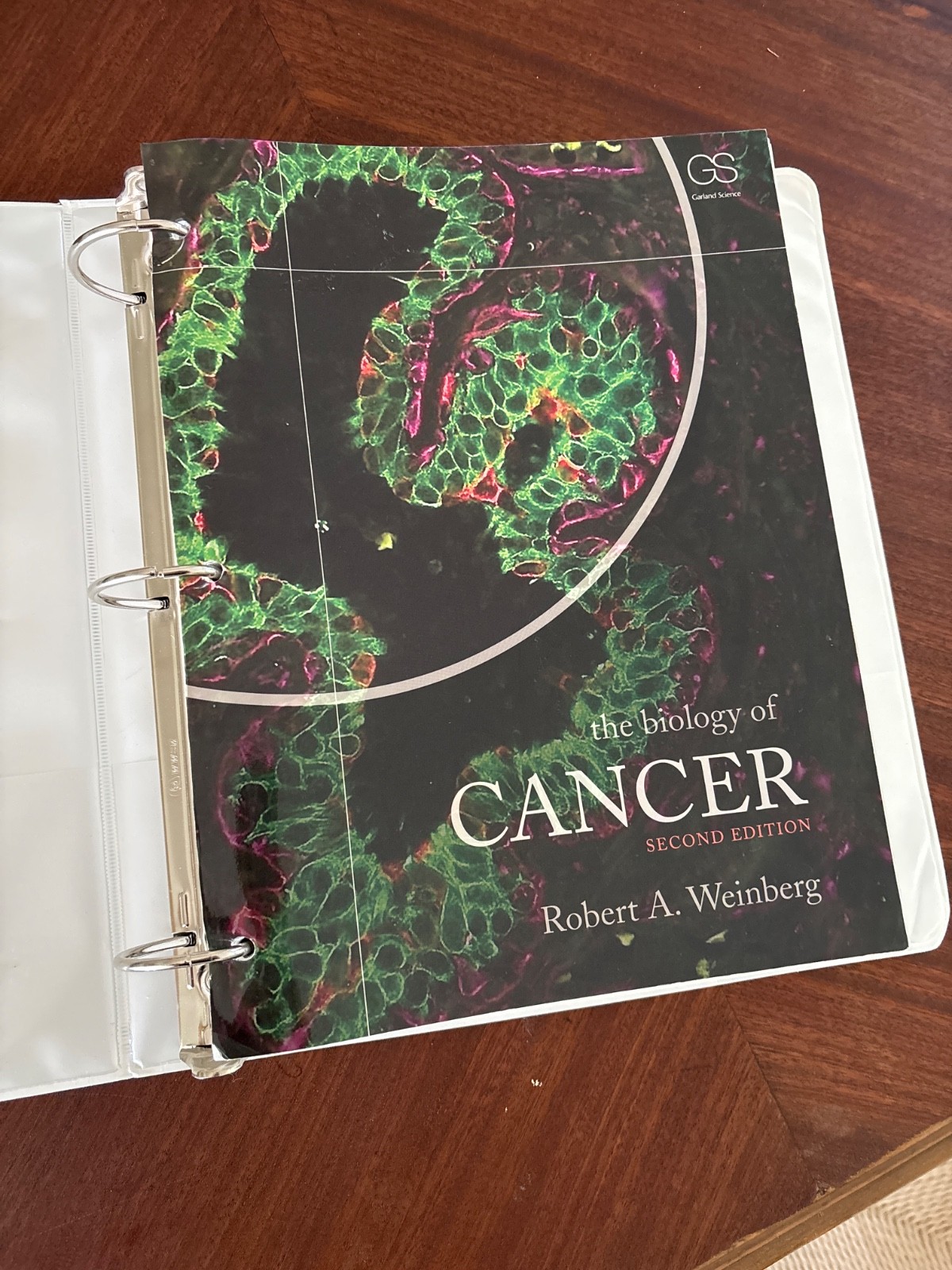 Biology of Cancer by Robert A. Weinberg (2013, Uk-B Format Paperback)