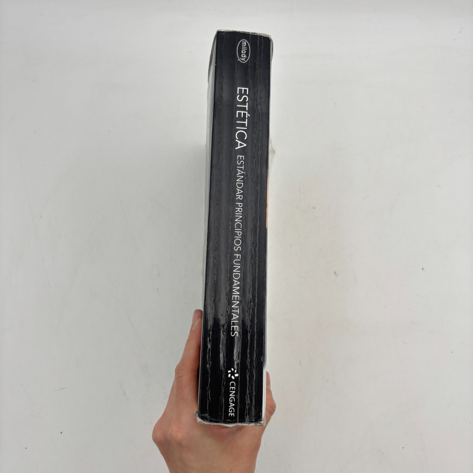 Milady Standard Esthetics Fundamentals Spanish Translated – Paperback