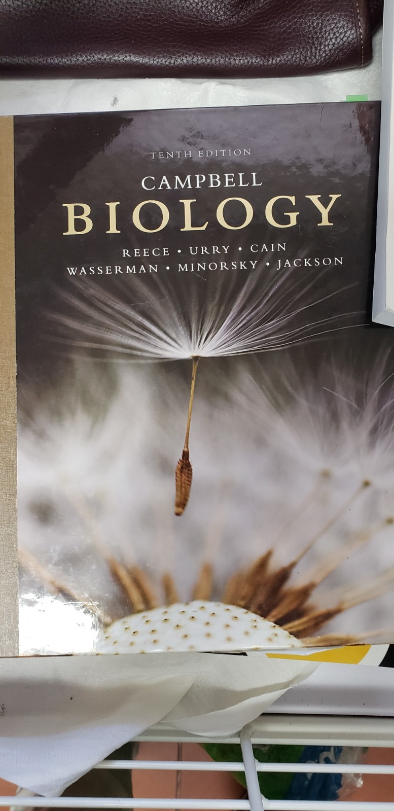 Campbell Biology by Peter V. Minorsky, Robert B. Jackson, Michael L. Cain, Lisa