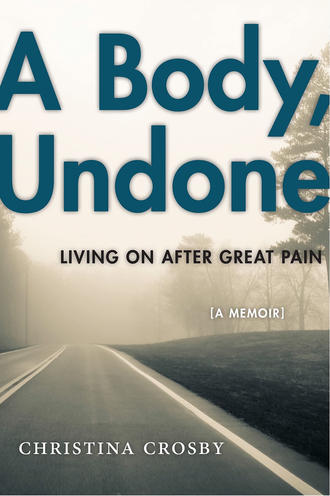 A Body, Undone: Living On After Great Pain (Sexual Cultures, 8) – paperback …