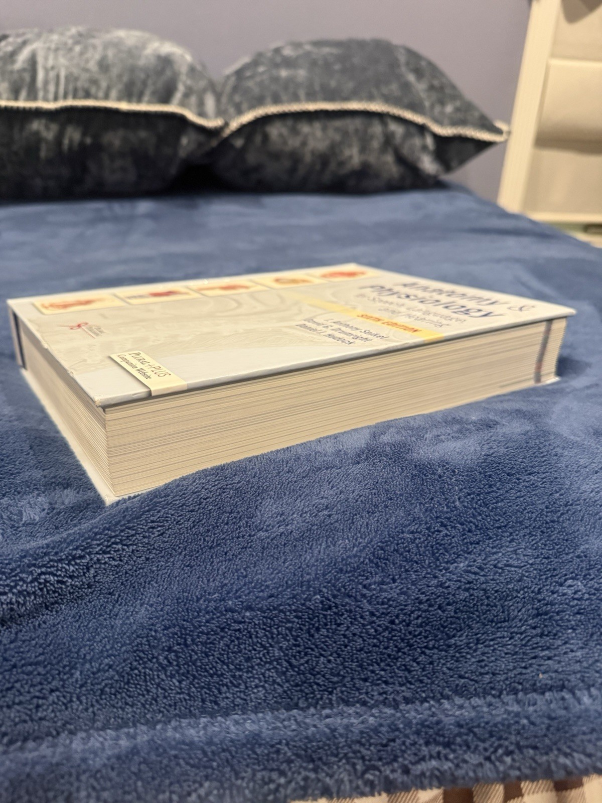Anatomy & Physiology for Speech, Language, and Hearing (2019, Hardcover)