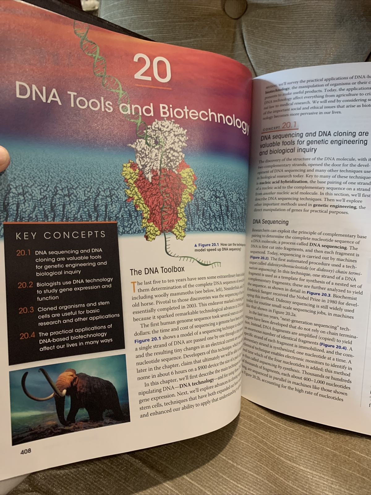Campbell Biology by Lisa A. Urry, Peter V. Minorsky, Robert B. Jackson, Michael