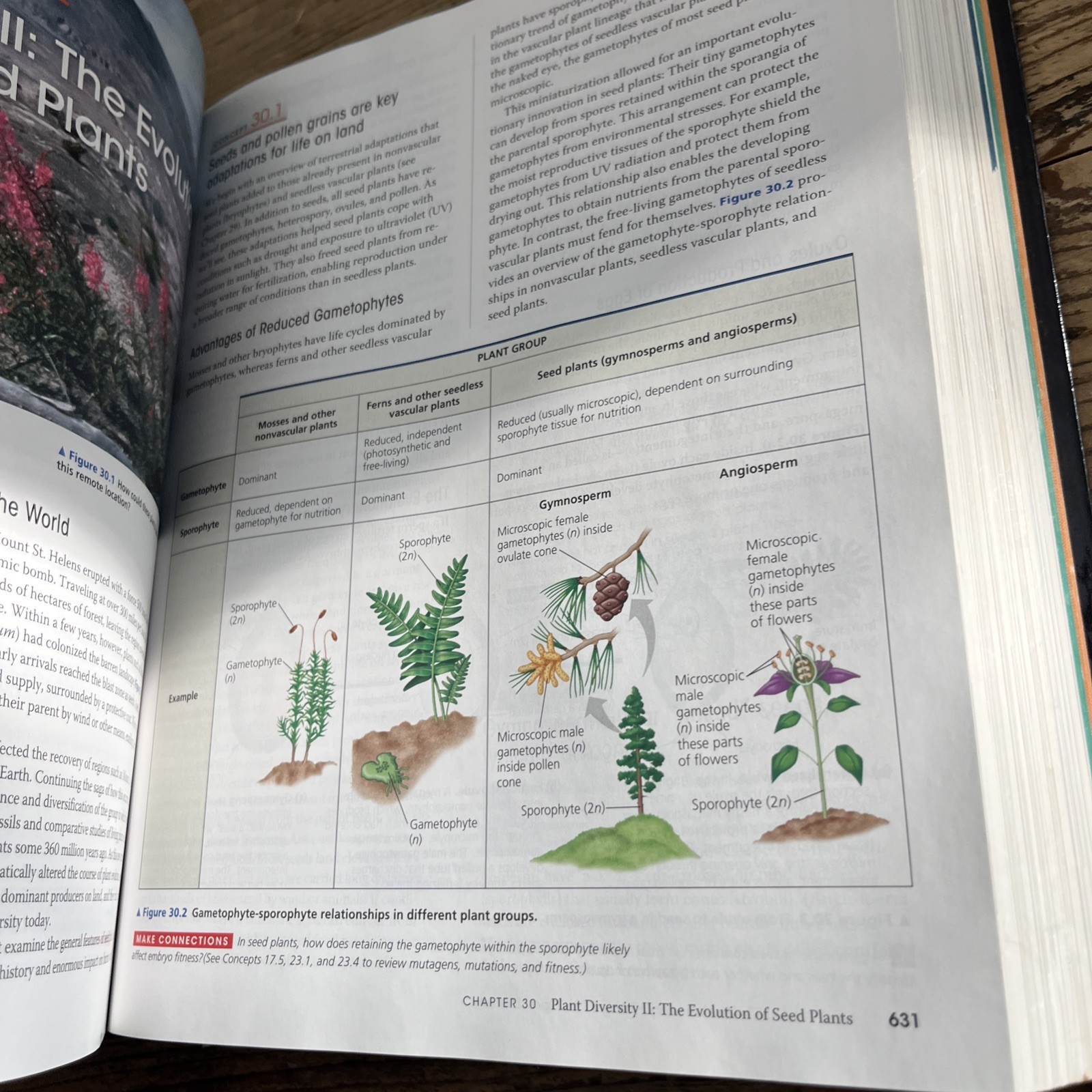 Campbell Biology by Peter V. Minorsky, Robert B. Jackson, Michael L. Cain, Lisa