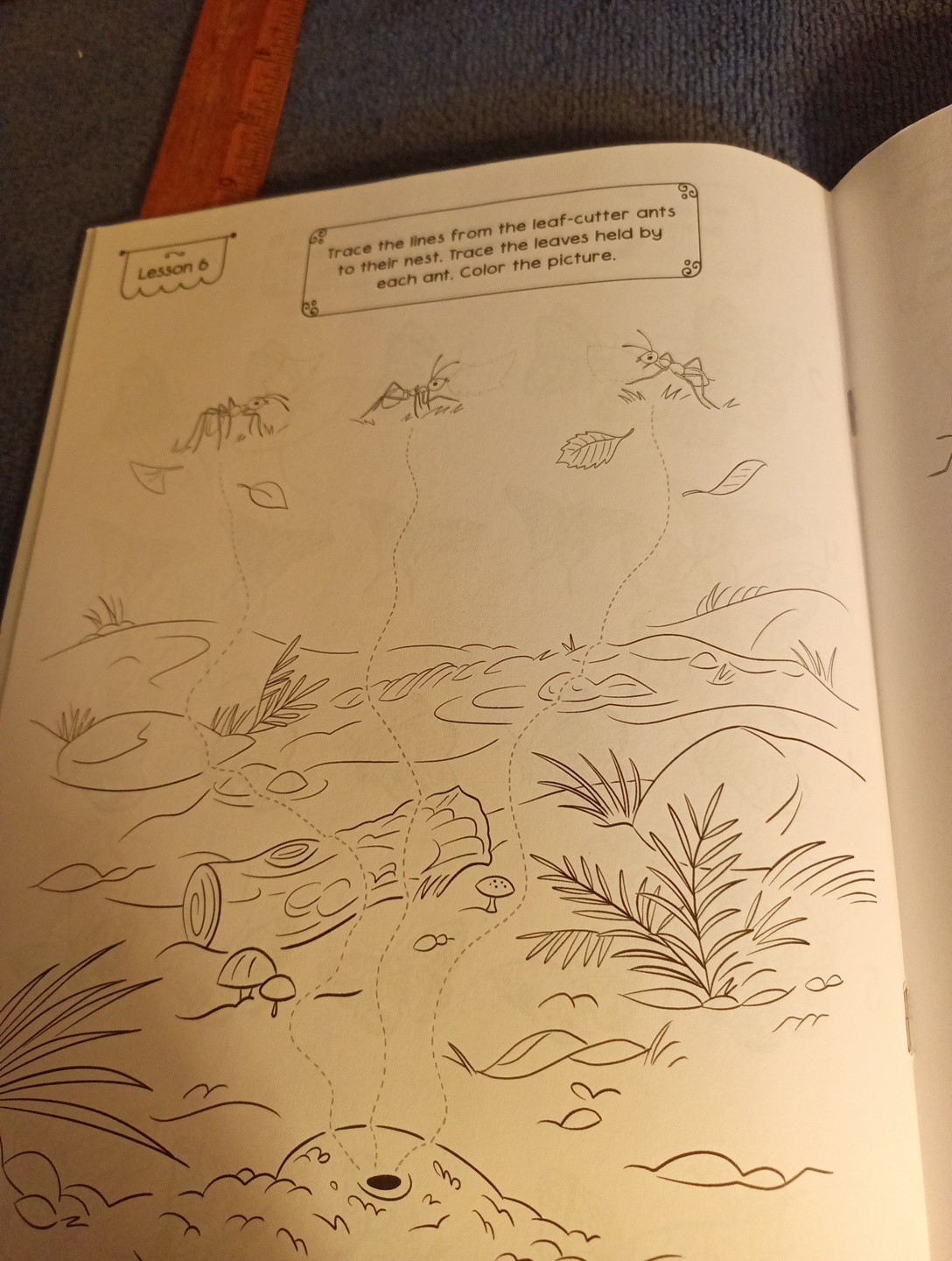 The Good and the Beautiful Science Activity Book Arthropods Homeschool