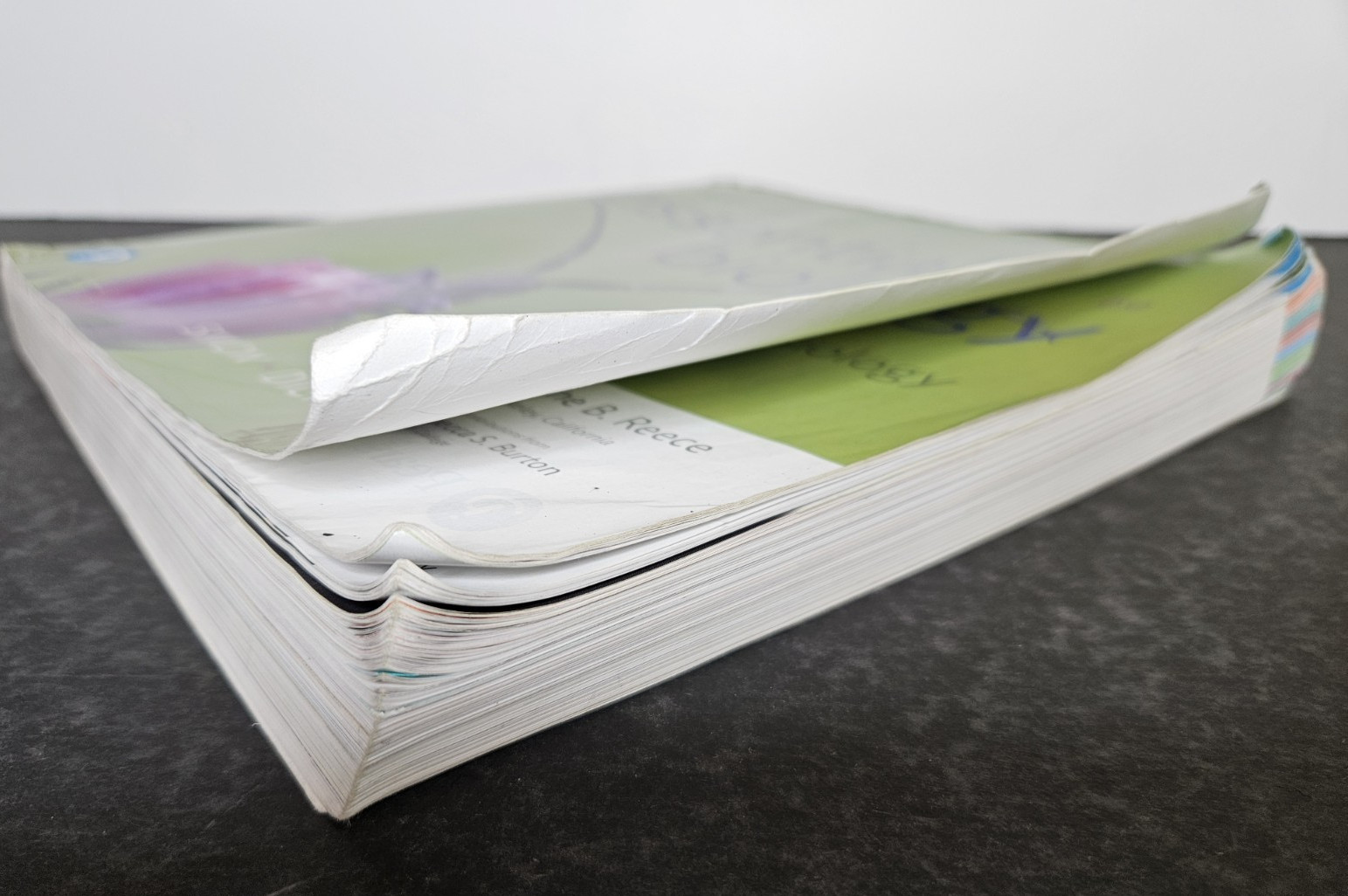 Campbell ESSENTIAL BIOLOGY with Physiology, 6th Ed by Simon, 2019 PB, Used