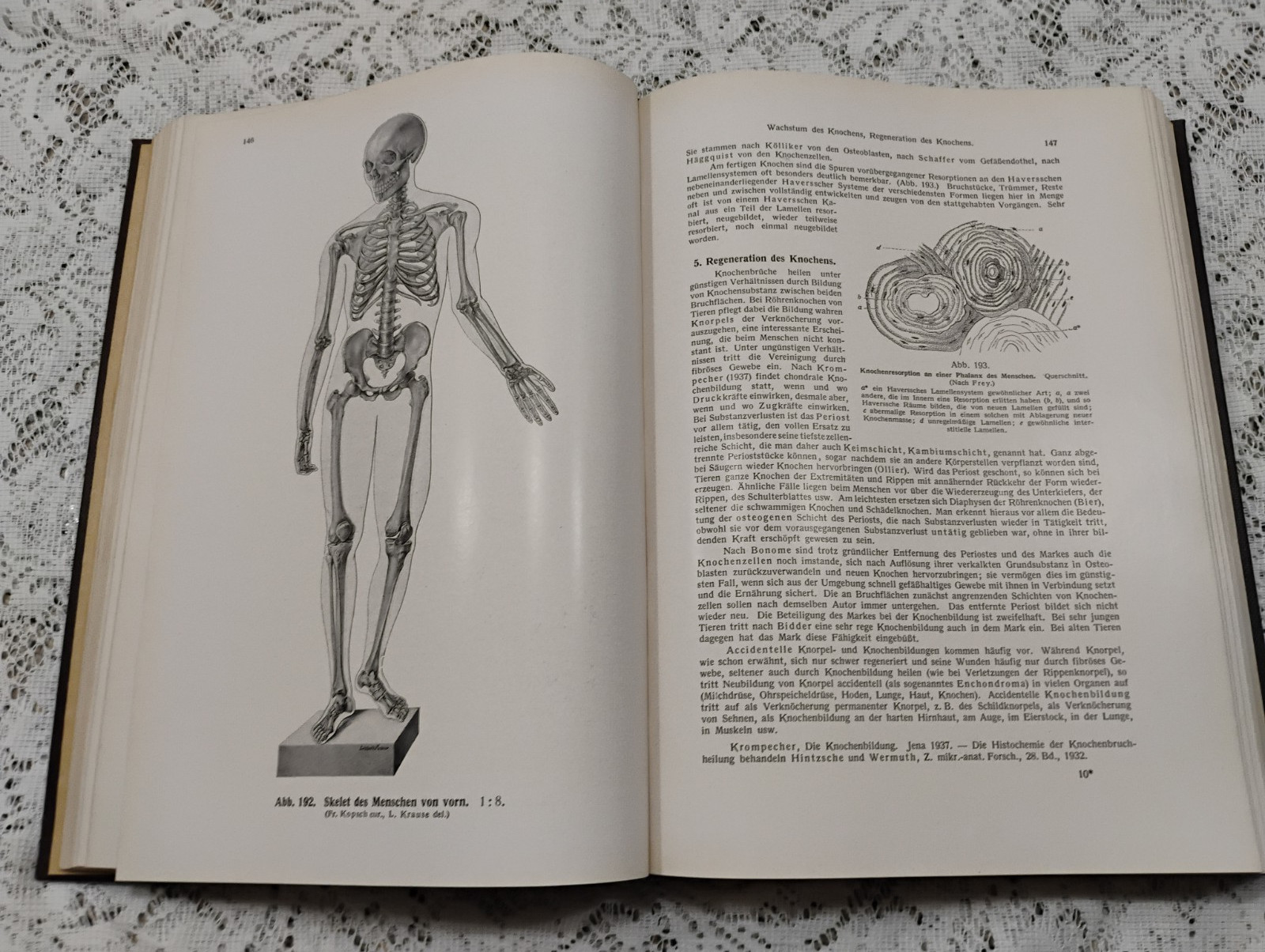 Atlas Of Human Anatomy 1952 Vol 1 In German Skeletal, Muscular General systems